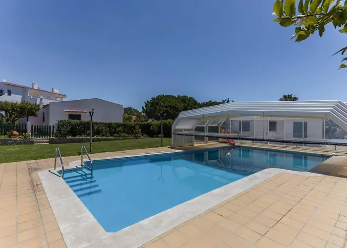 Morena 알부페이라